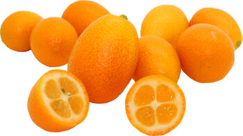 Kumquat