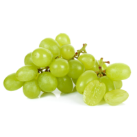 Trauben weiß kernlos