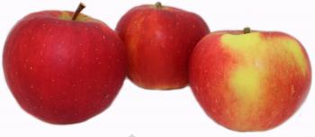 Apfel klein (Kinderapfel)