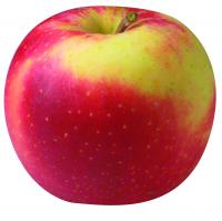 Apfel Elstar (s&uuml;&szlig;-s&auml;uerlich)