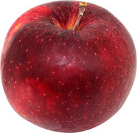 Apfel Red Jonaprince (s&uuml;&szlig;)