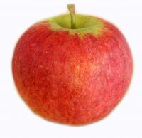 Apfel Milwa (s&uuml;&szlig;-leicht s&auml;uerlich)