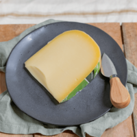 Bastiaansen Gouda, jung