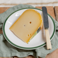 Bastiaansen Maasdammer 45%