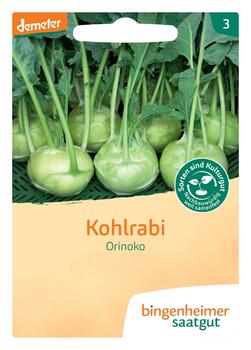 Kohlrabi (Orinoko) -Saatgut-