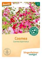 Cosmea -Saatgut-