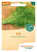 Dill -Saatgut-