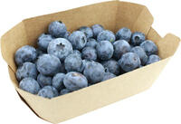 Heidelbeeren 250g Schale