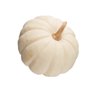 ?K&uuml;rbis Baby Boo