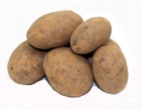 Kartoffel &Uuml;bergr&ouml;&szlig;e Simonetta 2,5 kg