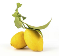 Edel-Zitrone "Rocca Imperiale"