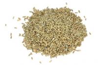 GV Roggen 25 kg (Demeter)