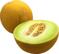 Honigmelone Galia