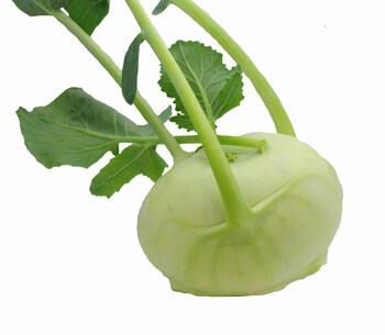 Kohlrabi