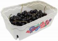 Schwarze Johannisbeeren