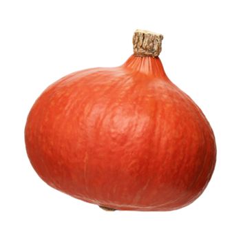 K&uuml;rbis Hokkaido orange