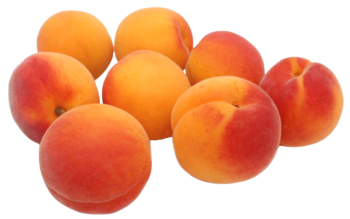 Aprikosen