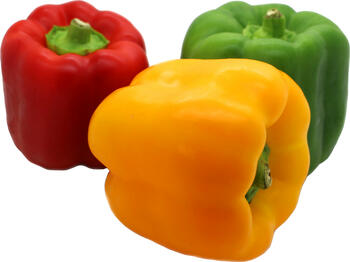 Paprika Mix rot/gelb/gr&uuml;n