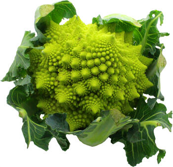 Romanesco