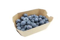 Heidelbeeren 125g Schale