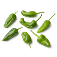 Bratpaprika "Pimientos"