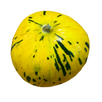 Honigmelone Thrakis