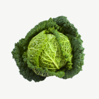 Wirsingkohl mit Umblatt