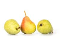 Birne Guyot