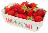 Erdbeeren Schale 500 g