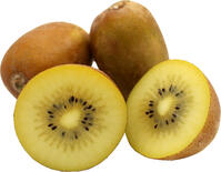 Goldkiwi