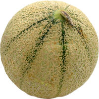 Netzmelone Cantaloupe