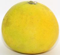 ?Pomelo