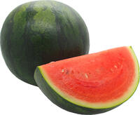 Wassermelone Mini kernarm