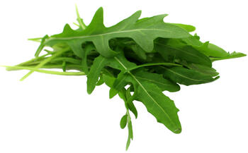 Bund Rucola