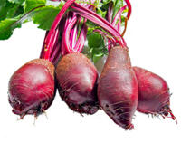 Bund rote Bete