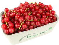 Johannisbeeren rot